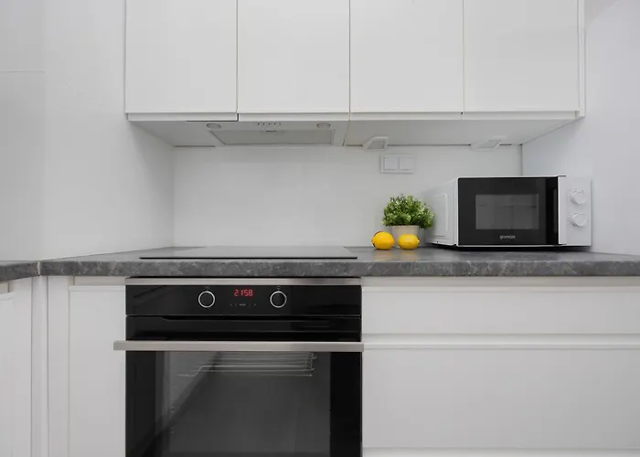 Apartment Bright Grey In With Balcony By Renters