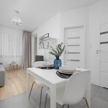 Bright Grey In With Balcony By Renters 华沙