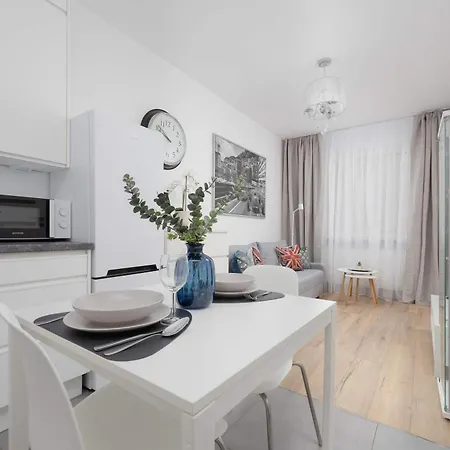 Bright Grey In With Balcony By Renters Daire Varşova