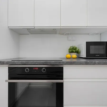 Apartamento Bright Grey In With Balcony By Renters