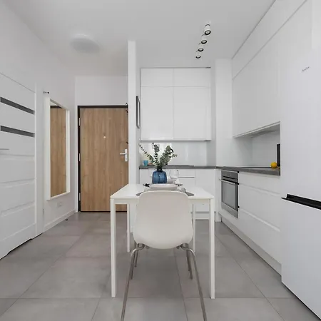 Bright Grey In With Balcony By Renters * ワルシャワ